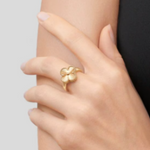KLEEBLATT | Goldring