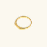 Sasha Geometrischer Ring
